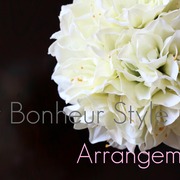 アマリリスをフラワーボールに♪