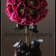 アネモネトピアリー♪　