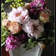 ￥15,000（税込）