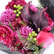 ￥11,000（税込）