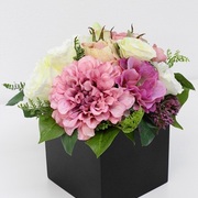 ￥6,980（税込）