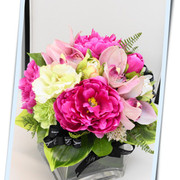 ￥11,000（税込）