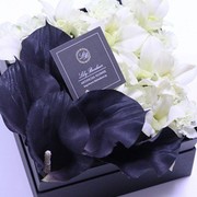 ￥11,000（税込）