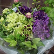 ￥11,000（税込）～