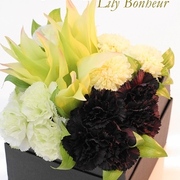 ￥7,900（税込）