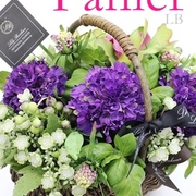 ビギナーレッスン