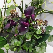 ￥11,000（税込）