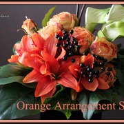 ￥11,000（税込）