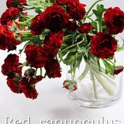 ￥13,000（税込）