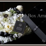 □17×H約8 ￥7,800（税込）