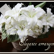 26×40×H30 ￥23,000