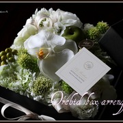 □17×H約8 ￥8,800（税込）