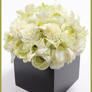 ￥6,800（税込）