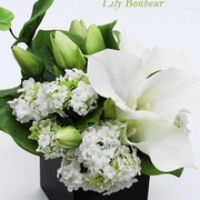 ￥7,300（税込）