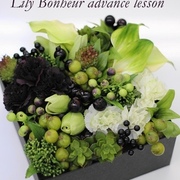 アドバンス　レッスン