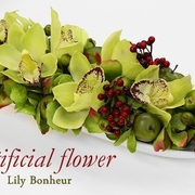 ビギナーレッスン♪