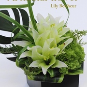 ビギナーレッスン♪