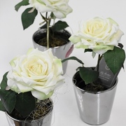 ローズポット　H23×W11　