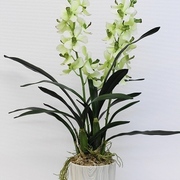 オーキッドバンダ鉢植え2本立ち　H68㎝　 近くで見ても本物のよう。上質な質感に仕上がっています。（※花器は仕入状況により変わる事がございます）