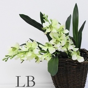 オーキッドバンダギフトワンセットを2点使用した簡単ｱﾚﾝｼﾞ例　そのまま ｽﾄﾝと入れるだけで素敵♪