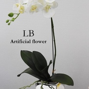 ホワイト胡蝶蘭1本立ち　H約58㎝　￥9,900　スタイリッシュでモダンな鉢植えです。定番のホワイト胡蝶蘭は場所問わず馴染みやすいです。