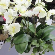 ￥11,000（税込）