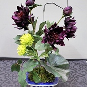 クリスマスローズミニポット　￥4,200（税込）ｱﾚﾝｼﾞ高さは約30㎝（枝物以外）H7㎝×□10㎝の陶器の花器に入っています。