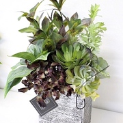 シルバーグリーンアレンジ ￥6980（税込）※Ｈ約36㎝