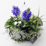 ￥8,800（税込）