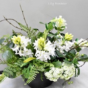 ヒヤシンスアレンジ　￥11,000（税込）　Ｈ約27㎝×横約26㎝×奥行約17㎝