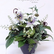 トケイソウポット　H約30㎝×横約20㎝