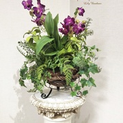 ｵｰｷｯﾄﾞﾎﾟｯﾄ（ﾃﾞﾝﾄﾞﾛﾋﾞｳﾑ）